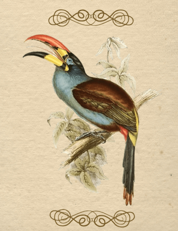ANIM042 PÔSTER