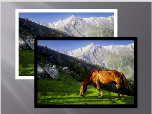ANIM077 QUADRO