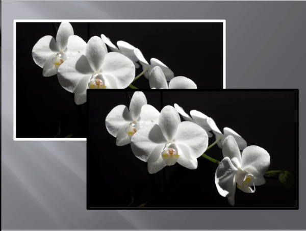 FLORAL030 QUADRO