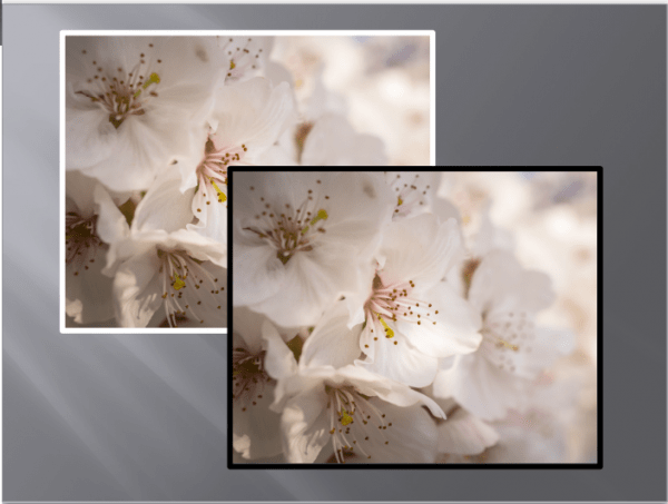 FLORAL036 QUADRO