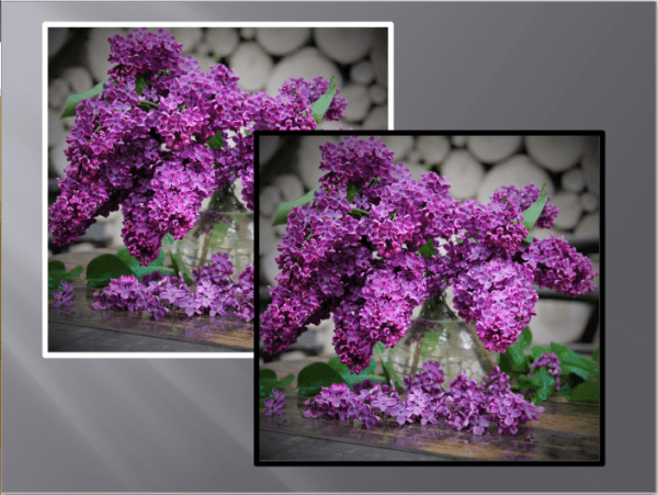 FLORAL044 QUADRO