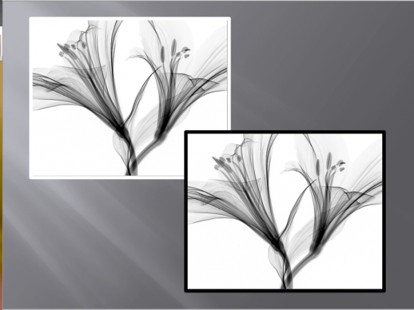FLORAL048 QUADRO